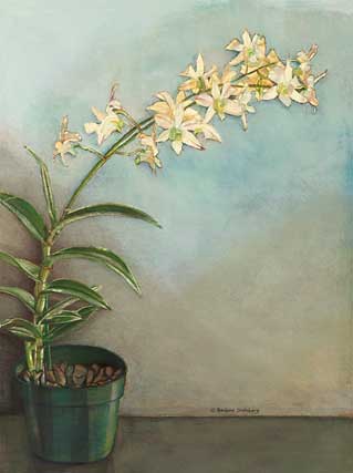 White Dendrobian Orchids giclee fine art reproduction
