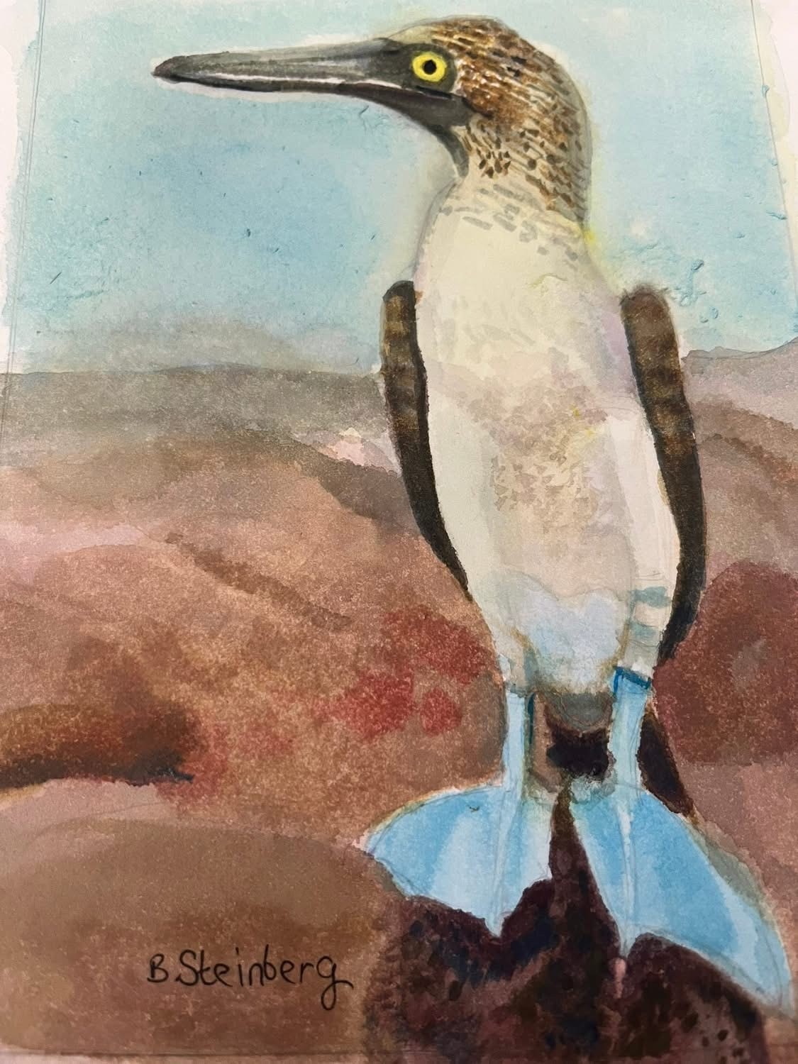 Watercolor of a blue-footed booby seabird standing on rocky terrain