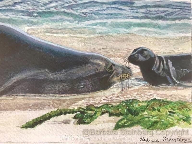 Watercolor of two Hawaiian monk seals resting on a sandy beach with seaweed