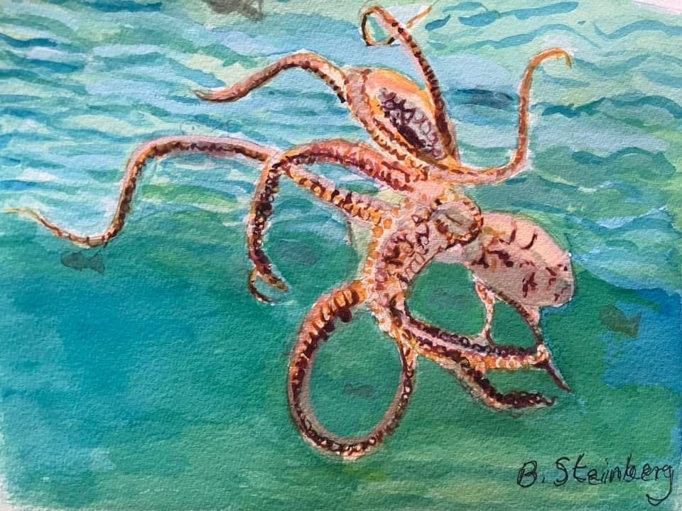 Watercolor of an octopus gliding through turquoise Hawaiian waters, signed B. Steinberg