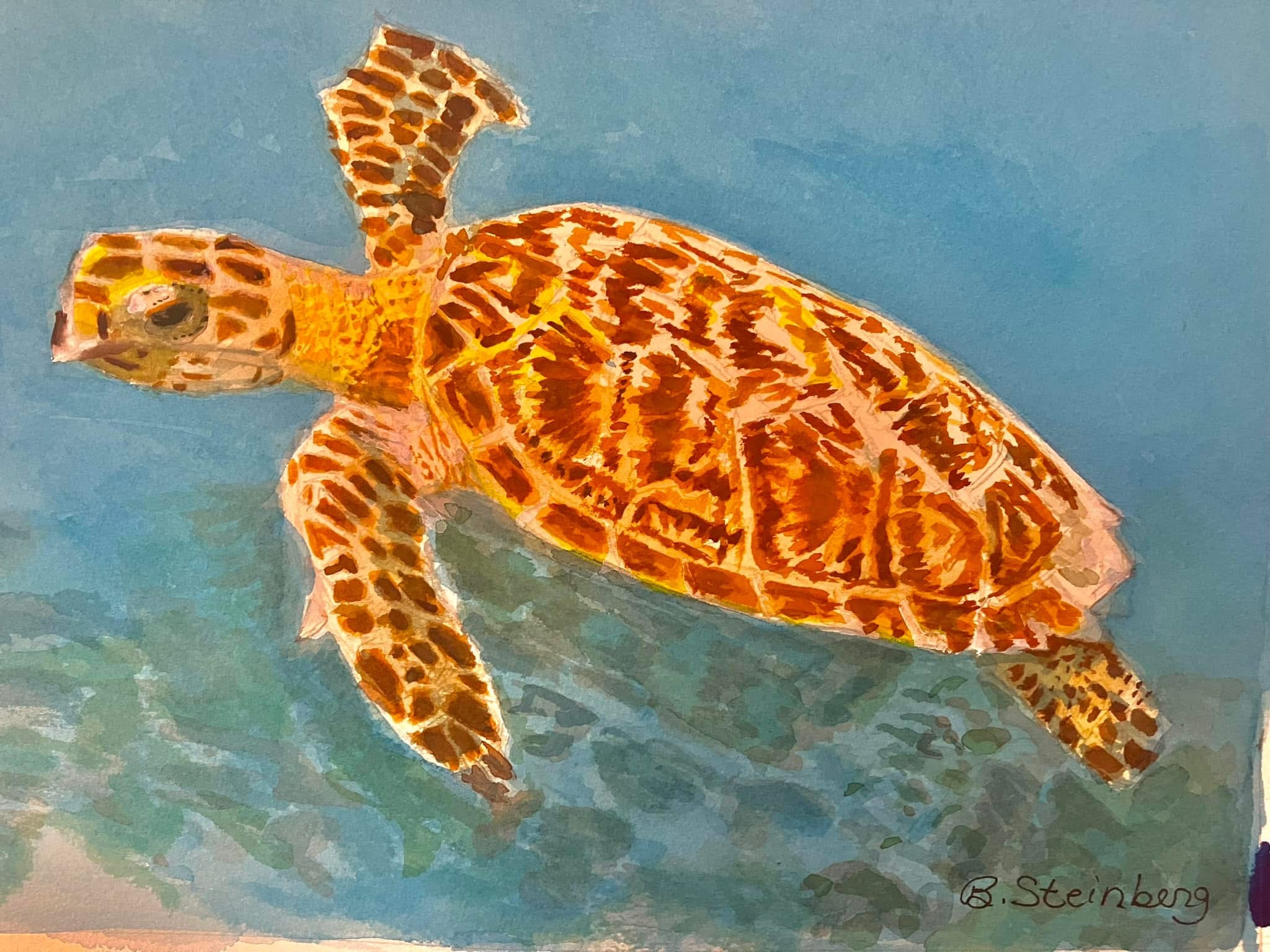 Watercolor of a Hawaiian sea turtle swimming through turquoise water, warm orange and brown shell, signed B. Steinberg