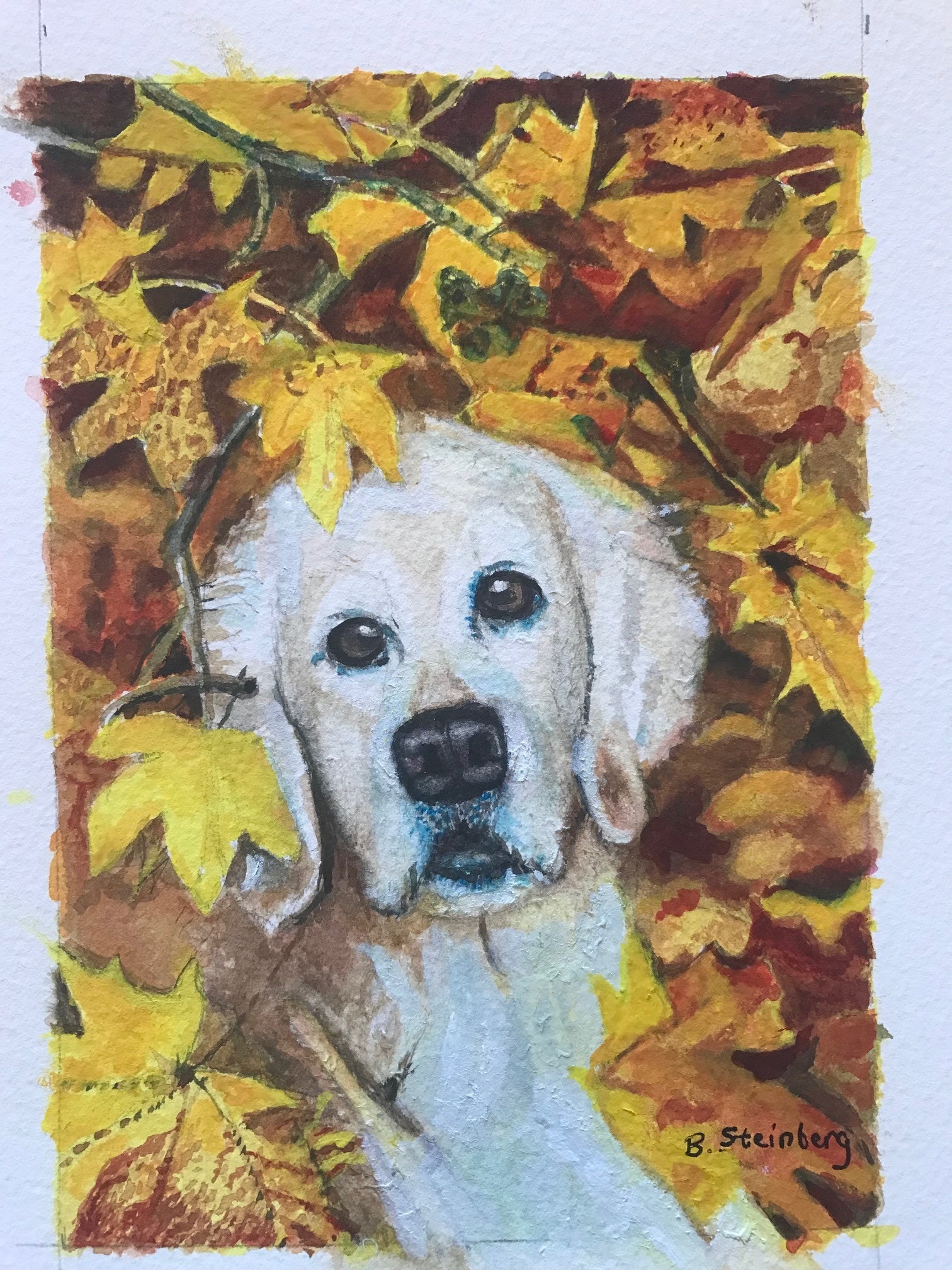 Watercolor portrait of a white Labrador Retriever surrounded by golden autumn maple leaves, signed B. Steinberg