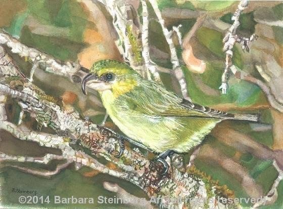 Detailed watercolor of a yellow-green palila bird perched on a branch