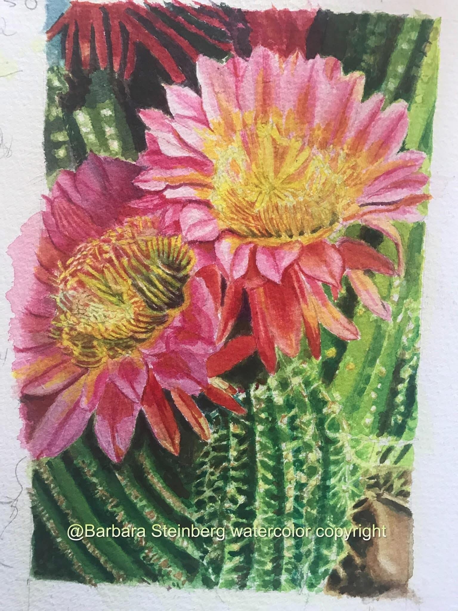 Vibrant watercolor of two large pink cactus flowers blooming among green cactus columns, signed Barbara Steinberg
