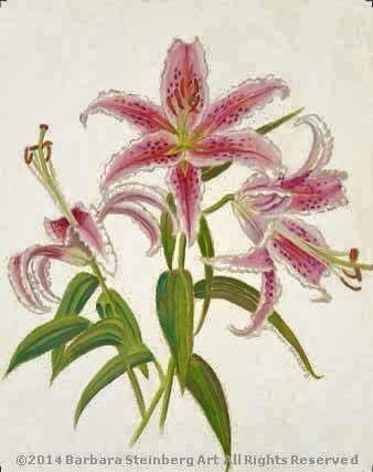 Botanical watercolor of vibrant pink stargazer lilies with dark spots and white-edged petals on a cream background, signed Barbara Steinberg 2014