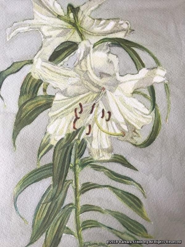 Delicate watercolor of white lilies with green stems and foliage, signed Barbara Steinberg 2018
