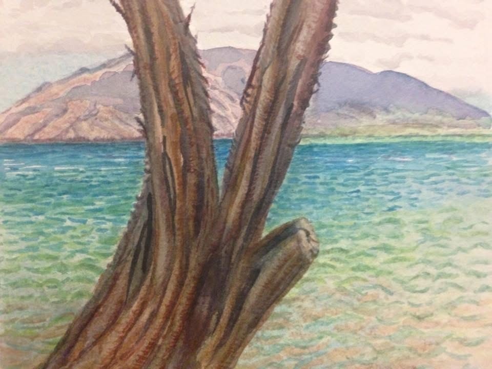 Dead cactus trunk in foreground with turquoise Maui ocean and mountains beyond — Barbara Steinberg watercolor
