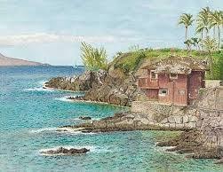 Red building on rocky Maui coastline with turquoise water and palm trees — Barbara Steinberg