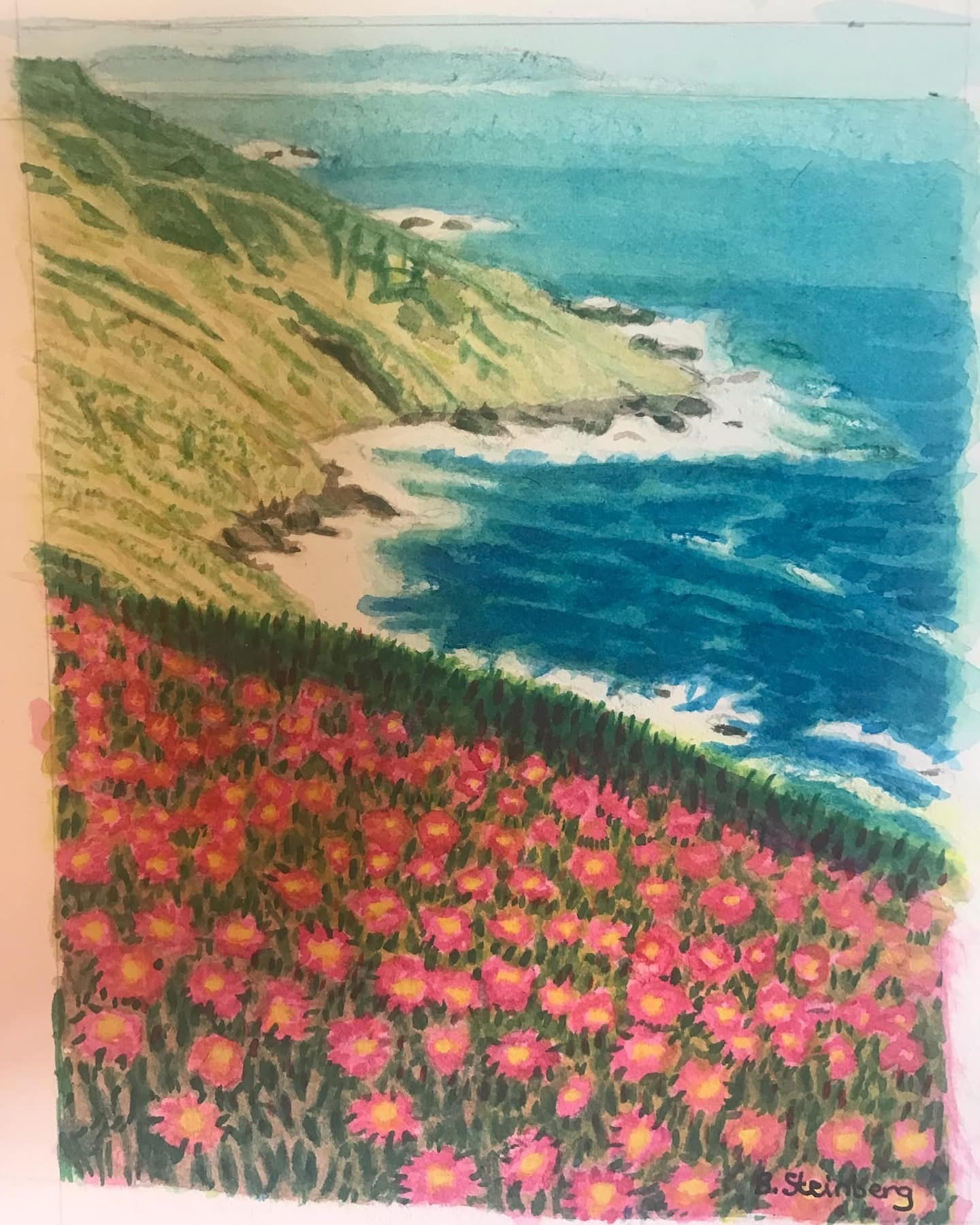 Coastal cliffs with pink wildflowers cascading down to turquoise ocean — Barbara Steinberg watercolor
