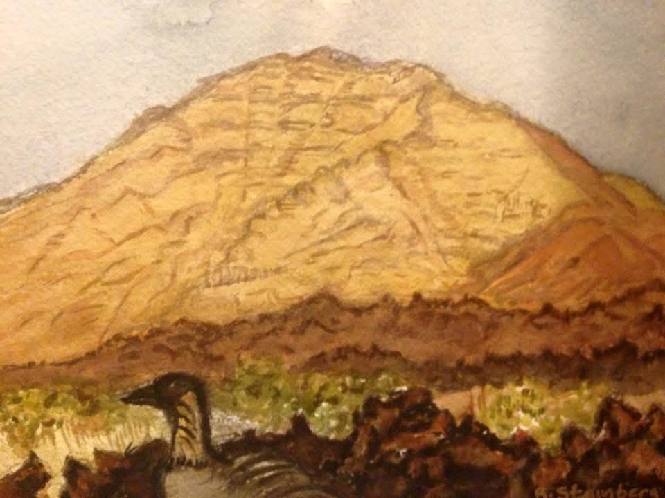 Haleakala volcano with nene bird in rocky foreground scrubland — Barbara Steinberg watercolor