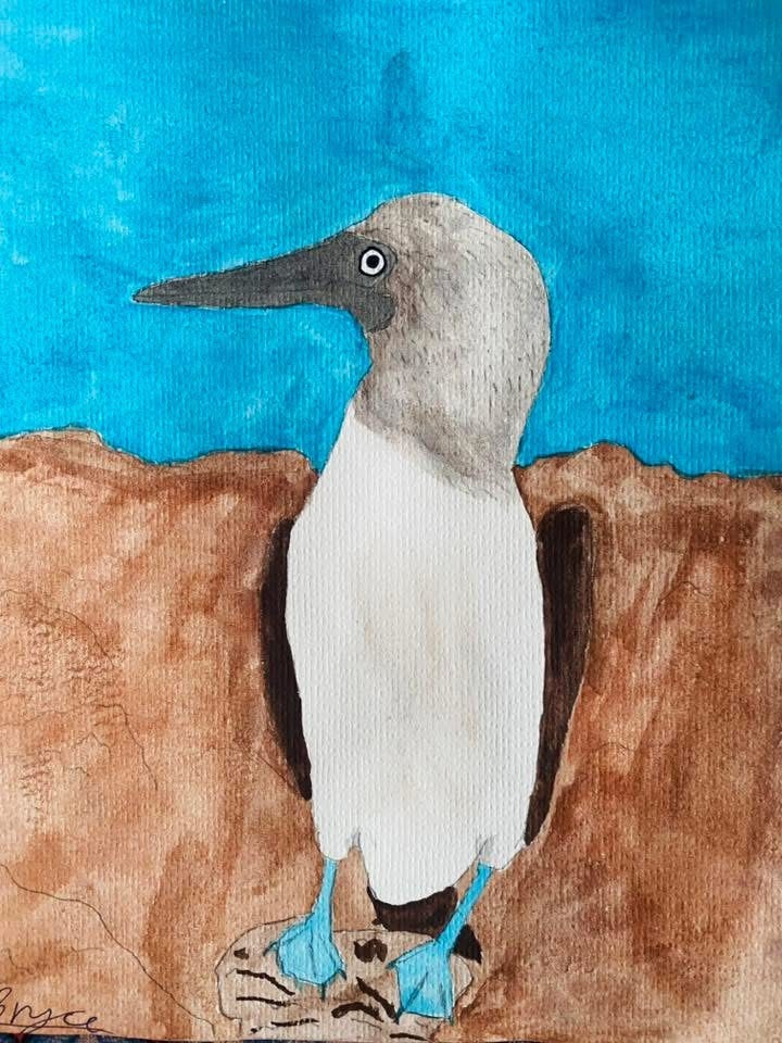 Blue-footed booby bird on rocky shore — watercolor by student Bryce