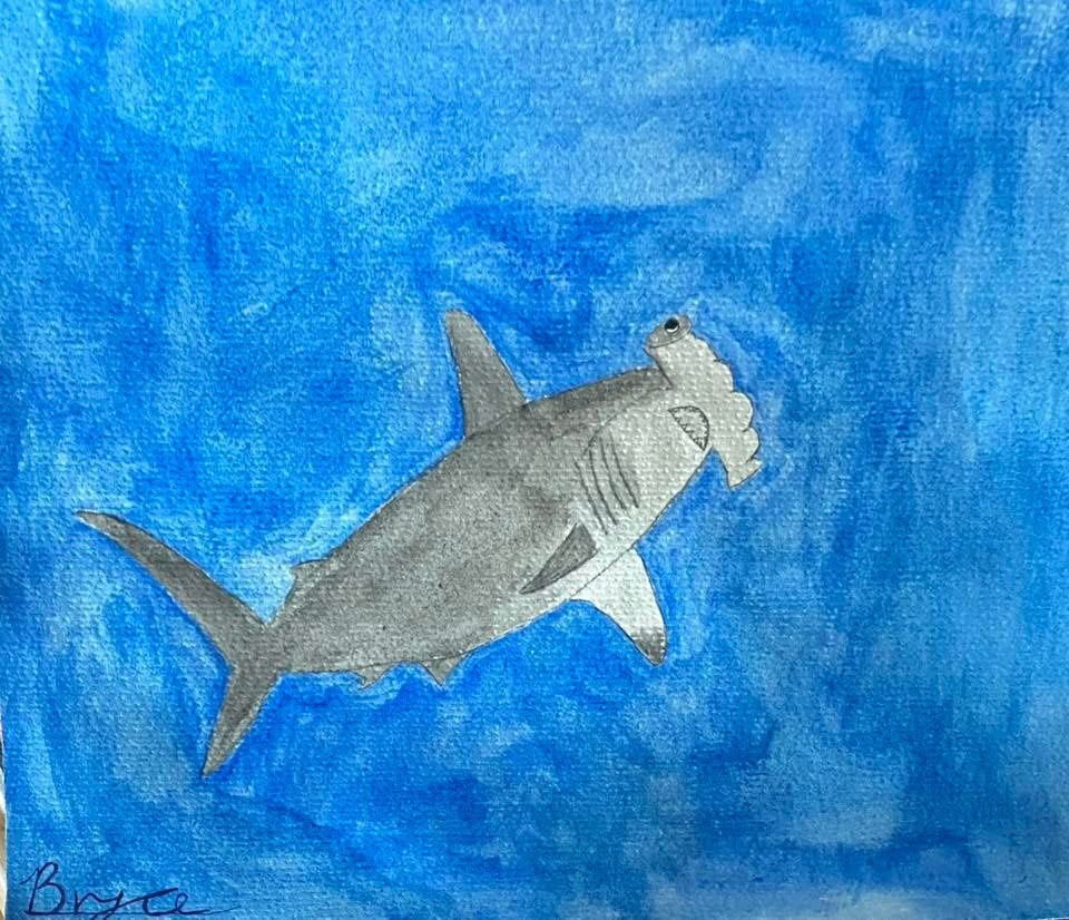 Hammerhead shark in blue water — watercolor by student Bryce