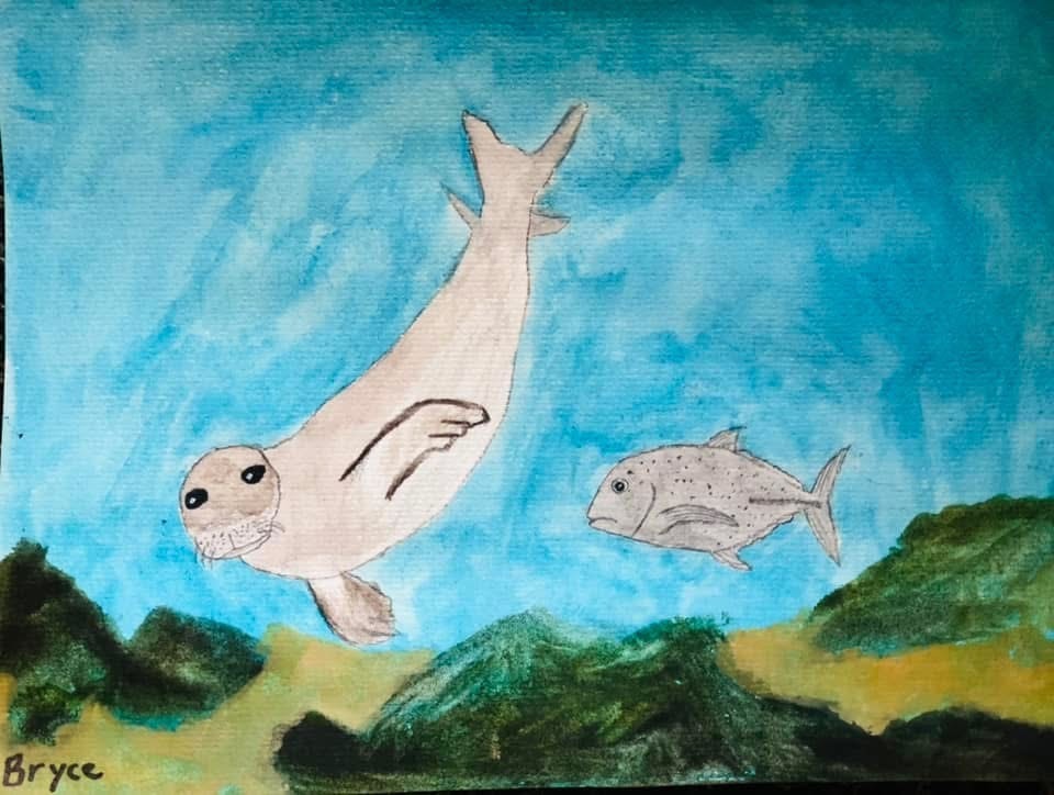Seal diving with a fish in an underwater scene — watercolor by student Bryce