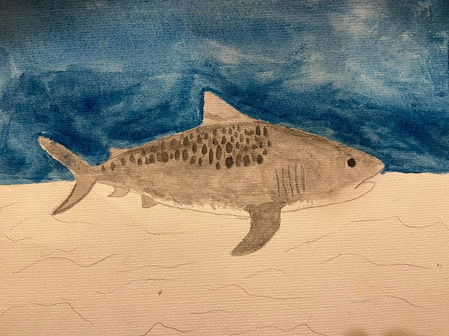 Tiger shark in blue water — watercolor by student Bryce